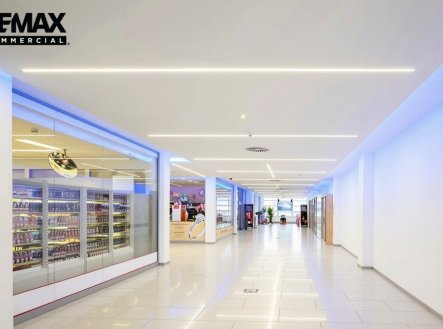 Pronájem obchodní prostory, 151 m²