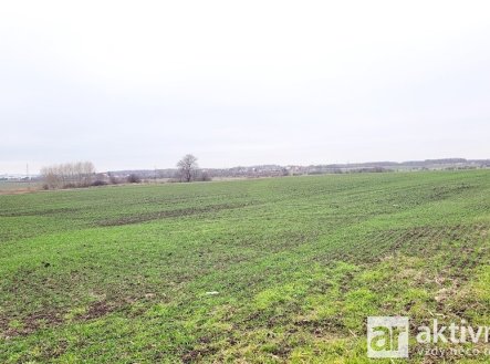 Prodej pozemku, zemědělská půda, 11 950 m²