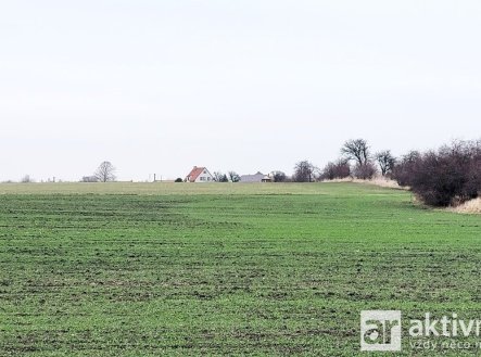 Prodej pozemku, zemědělská půda, 7 464 m²