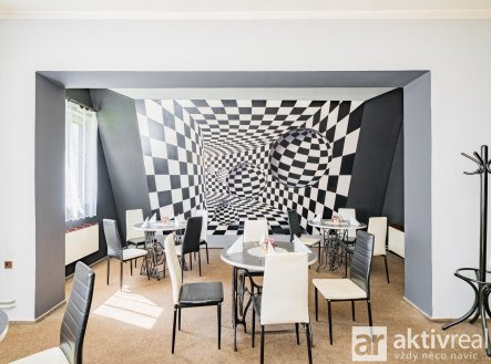 Prodej hotel, 556 m²