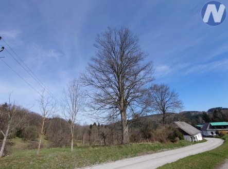 Prodej pozemku pro bydlení, 3 652 m²