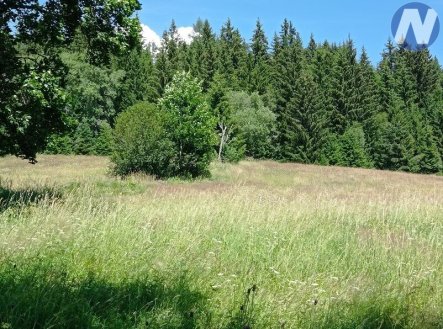 Prodej pozemku, trvalý travní porost, 22 888 m²