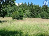 Prodej pozemku, trvalý travní porost, 22 888 m²