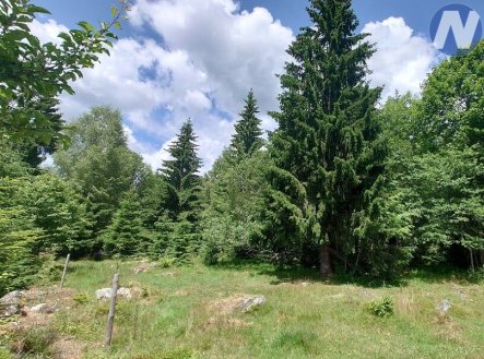 Prodej pozemku, ostatní, 607 m²