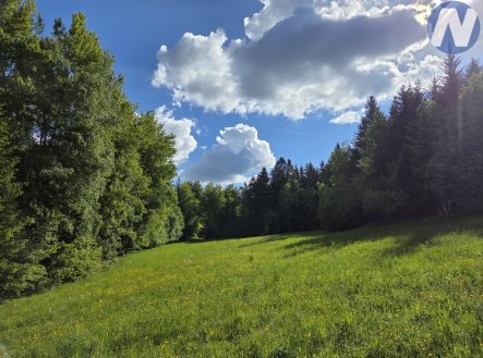 Prodej pozemku, trvalý travní porost, 3 228 m²