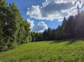 Prodej pozemku, trvalý travní porost, 3 228 m²