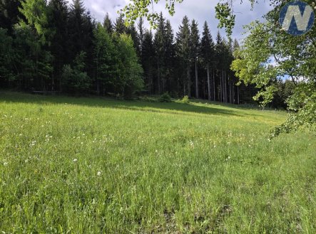 Prodej pozemku, trvalý travní porost, 3 228 m²