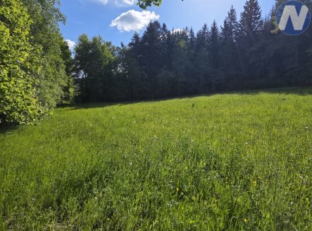 Prodej pozemku, trvalý travní porost, 3 228 m²