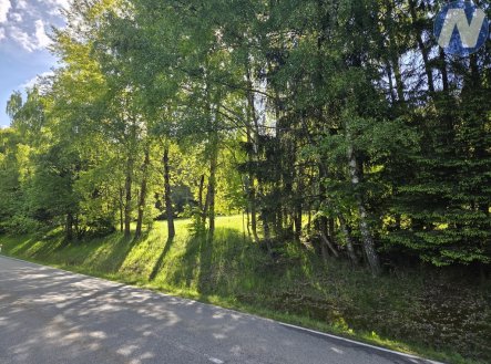Prodej pozemku, trvalý travní porost, 3 228 m²