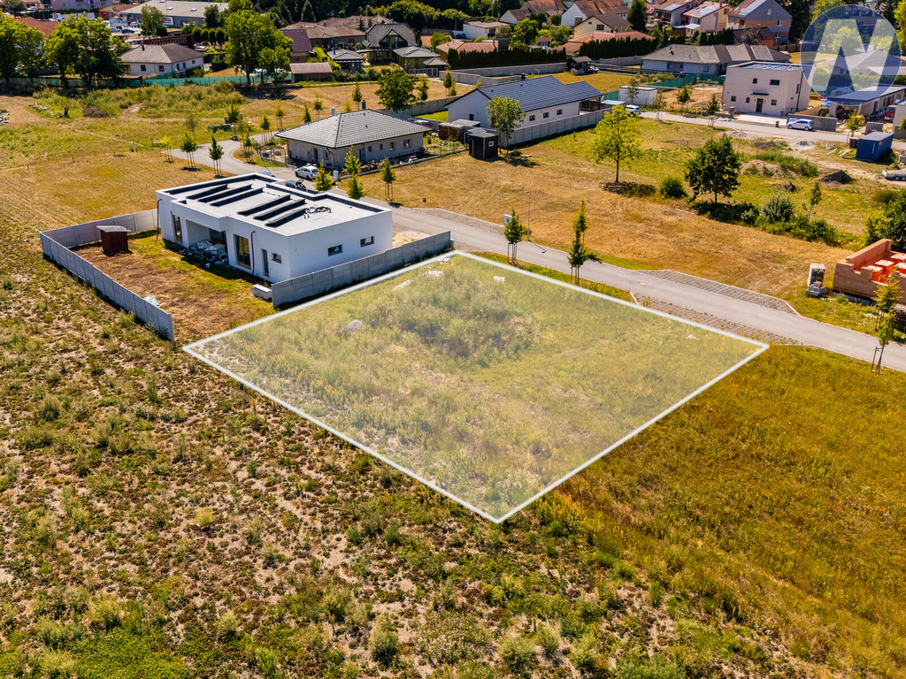 dji-20250130080715-0361-d.jpg