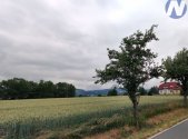 Prodej pozemku pro bydlení, 7 124 m²
