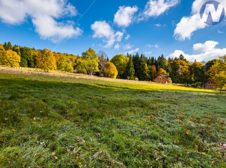 Prodej pozemku, trvalý travní porost, 6 572 m²