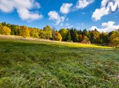 Prodej pozemku, trvalý travní porost, 6 572 m²