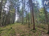 Prodej pozemku, les, 9 174 m²