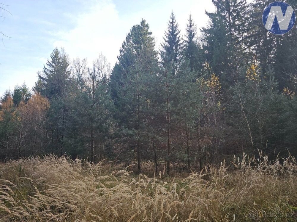 trocnov-3.jpg