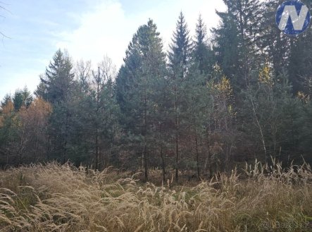 Prodej pozemku, les, 9 174 m²