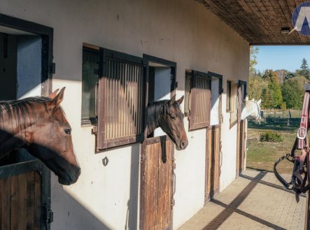 Prodej zemědělského objektu, 57 340 m²