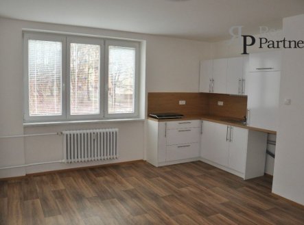 Pronájem bytu, 1+kk, 26 m²