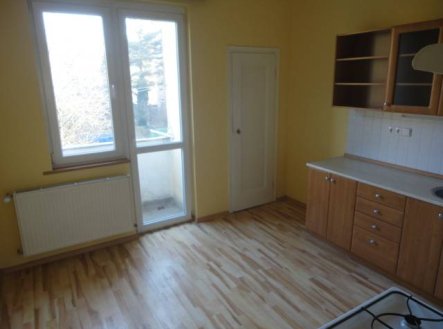 Pronájem bytu, 1+1, 49 m²