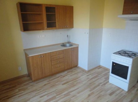 Pronájem bytu, 1+1, 49 m²