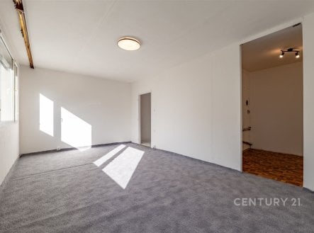 Prodej bytu, 1+kk, 33 m²