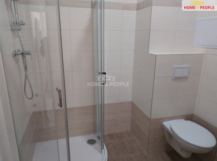 Pronájem bytu, 1+kk, 37 m²
