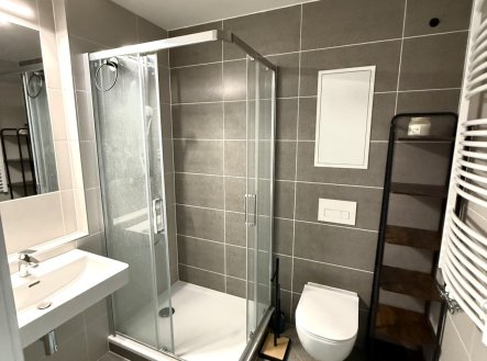 Pronájem bytu, 1+kk, 33 m²
