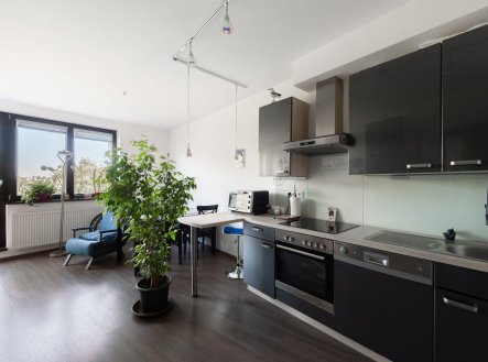 Prodej bytu, 2+kk, 54 m²