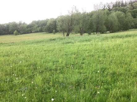 Prodej pozemku, ostatní, 85 000 m²