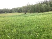 Prodej pozemku, ostatní, 85 000 m²