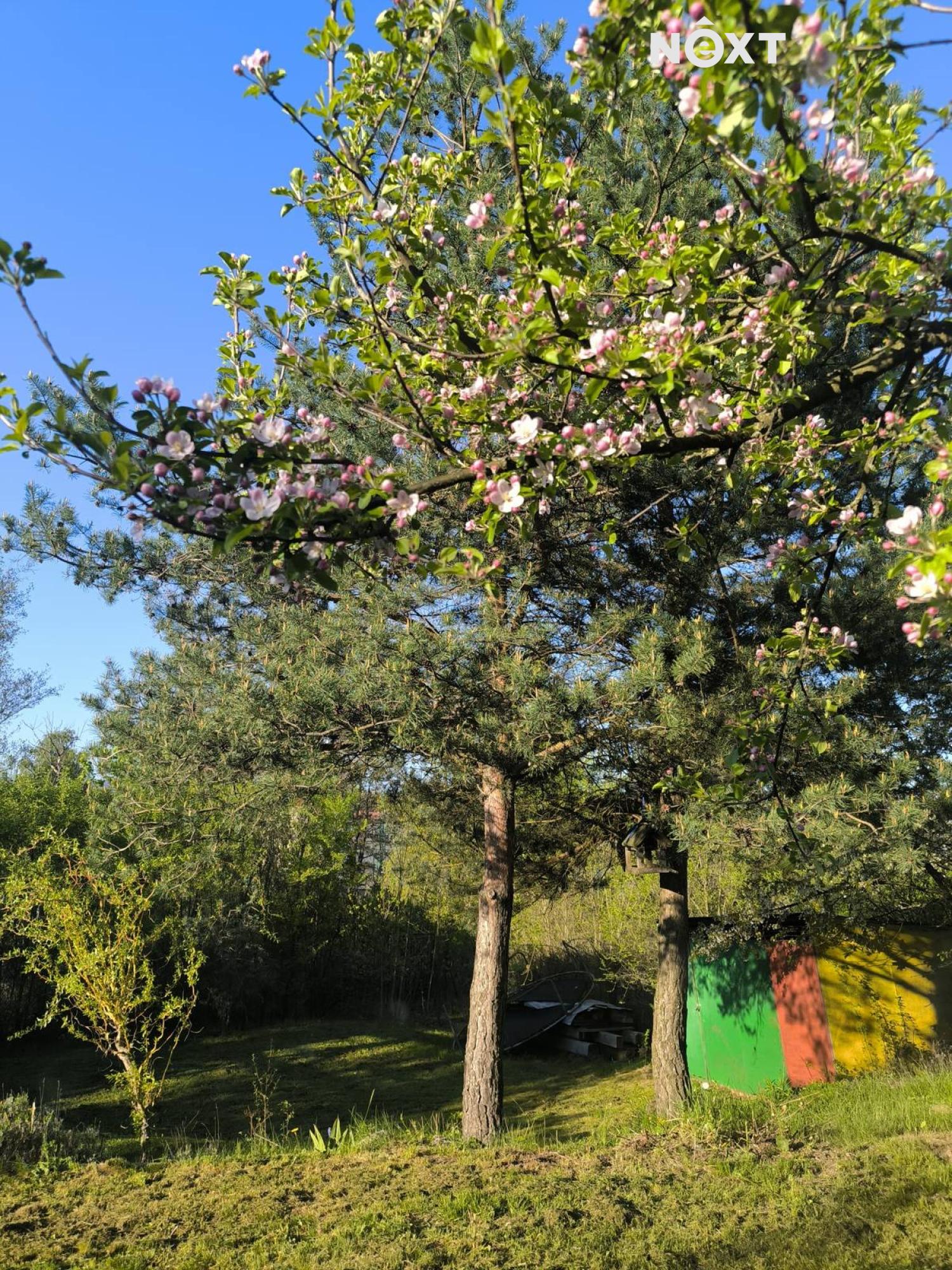Prodej pozemek Zahrada, 485㎡