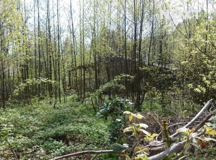 Prodej pozemku pro bydlení, 1 772 m²