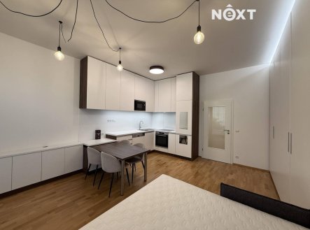 Pronájem bytu, 1+kk, 48 m²