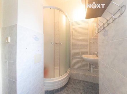 Pronájem bytu, 1+kk, 20 m²