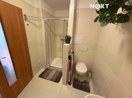 Pronájem bytu, 1+1, 36 m²