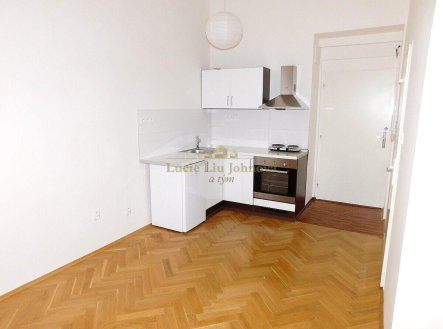 Pronájem bytu, 1+kk, 19 m²