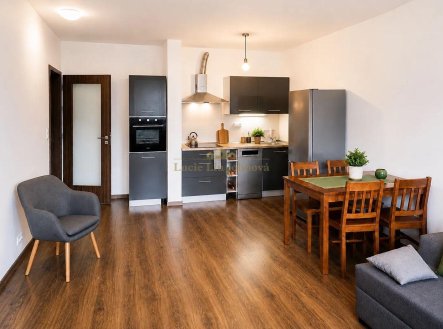 Prodej bytu, 2+kk, 45 m²