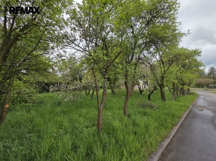 Prodej domu/vily, 215 m²