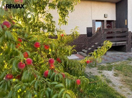 Prodej domu/vily, 236 m²