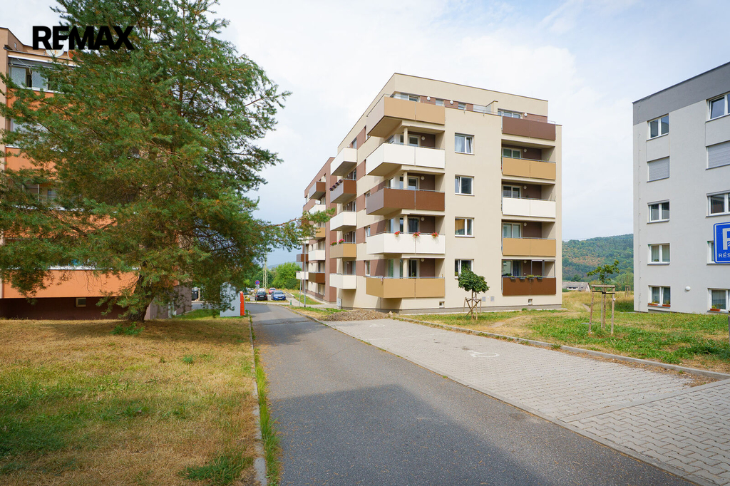 jince-024.jpg