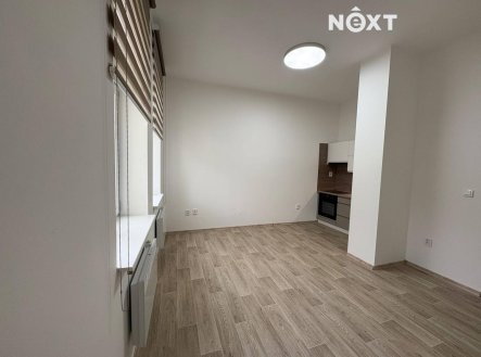 Pronájem bytu, 1+kk, 28 m²