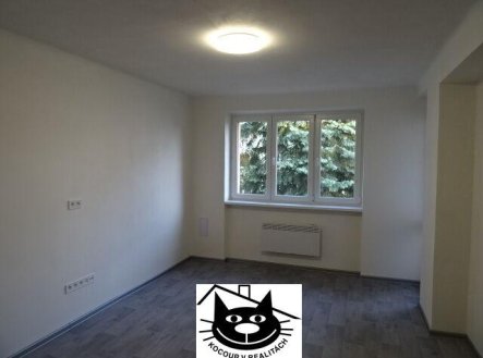 Pronájem bytu, 2+1, 55 m²