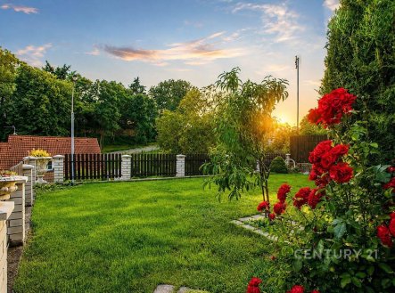 Prodej domu/vily, 315 m²