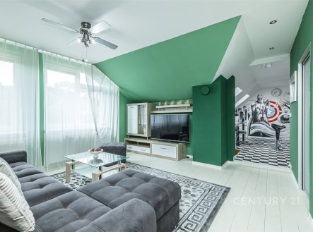 Prodej domu/vily, 315 m²