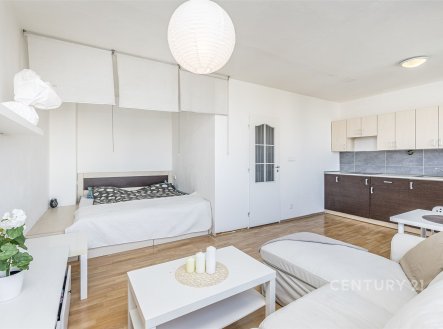 Prodej bytu, 1+kk, 31 m²