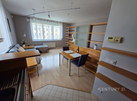 Pronájem bytu, 1+kk, 40 m²