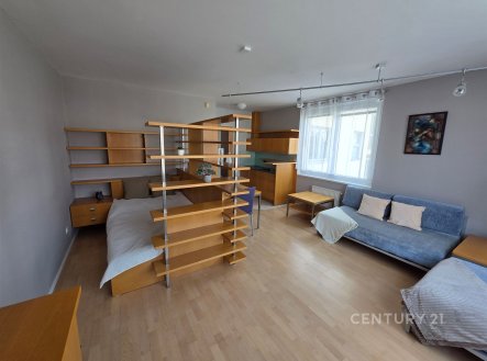 Pronájem bytu, 1+kk, 40 m²