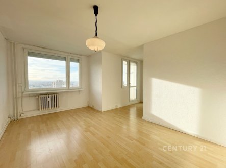 Pronájem bytu, 1+1, 41 m²