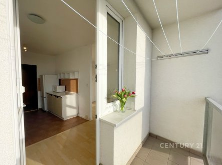 Pronájem bytu, 1+1, 41 m²