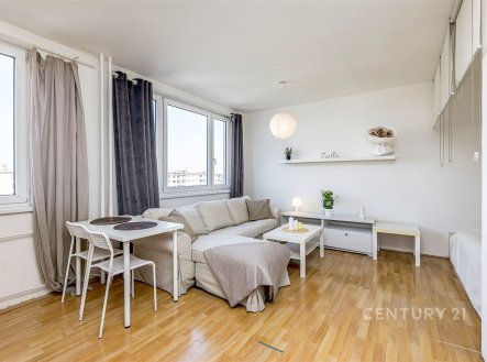 Pronájem bytu, 1+kk, 31 m²